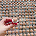 Volcanic Stone Oil-Absorbing Roller