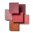 Born To Shine (Blush Palette)